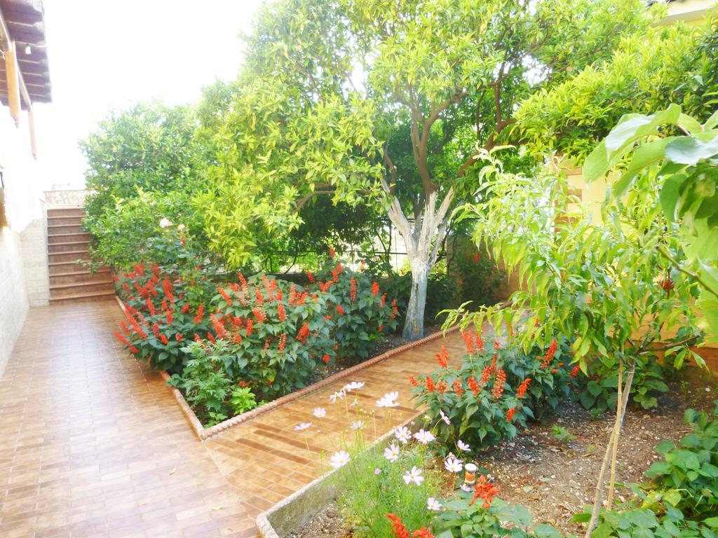 Vila Altini Borsh Esterno foto
