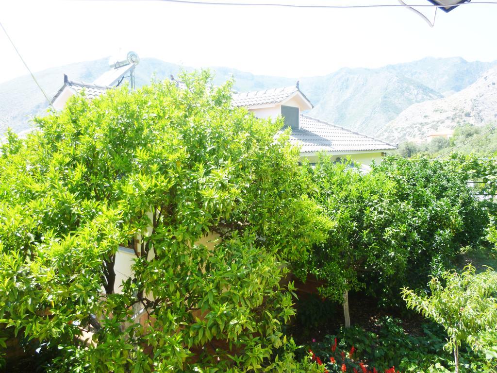 Vila Altini Borsh Esterno foto